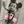 Load image into Gallery viewer, Shreddy Mouse